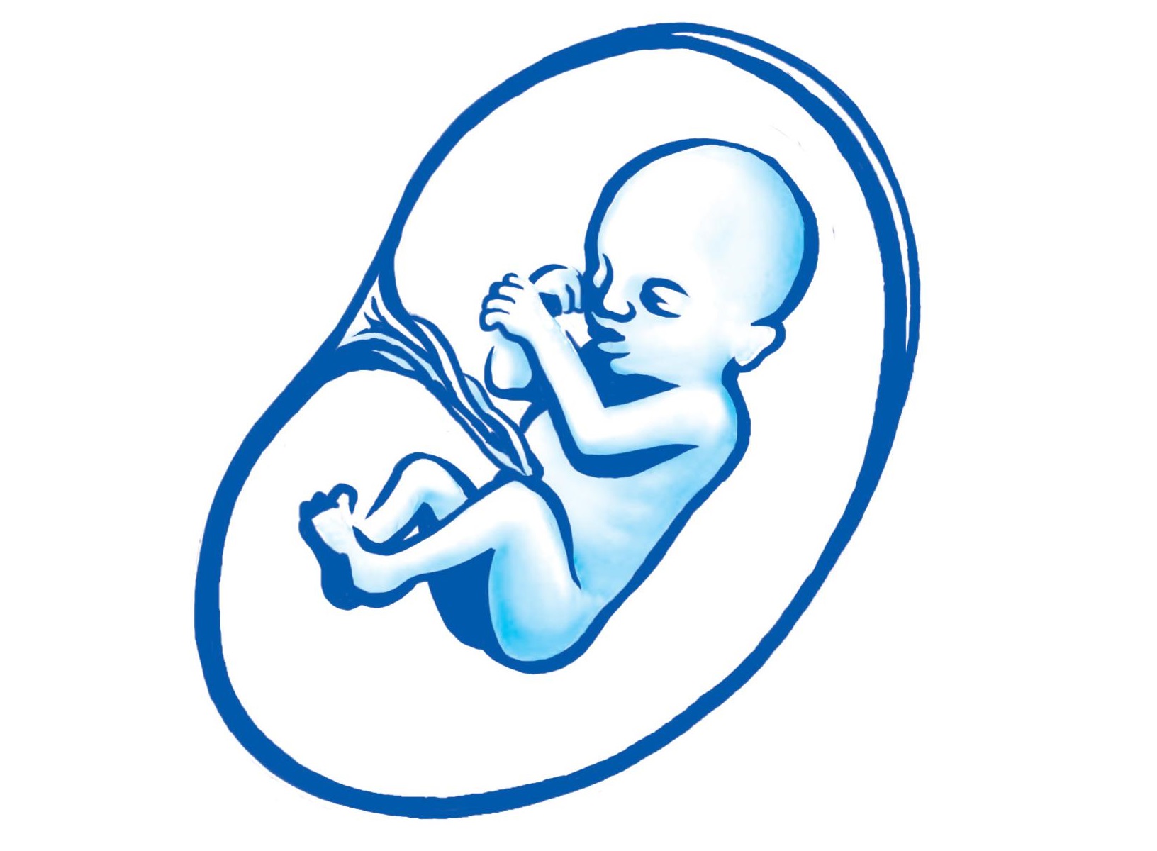 19. týždeň tehotenstva