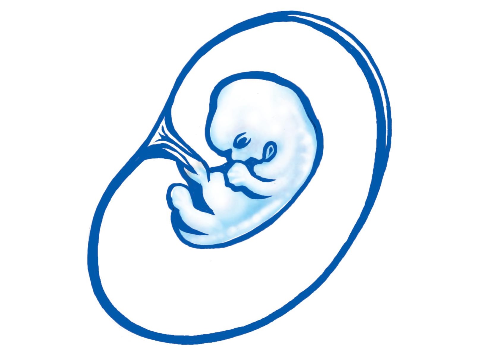 9. týždeň tehotenstva