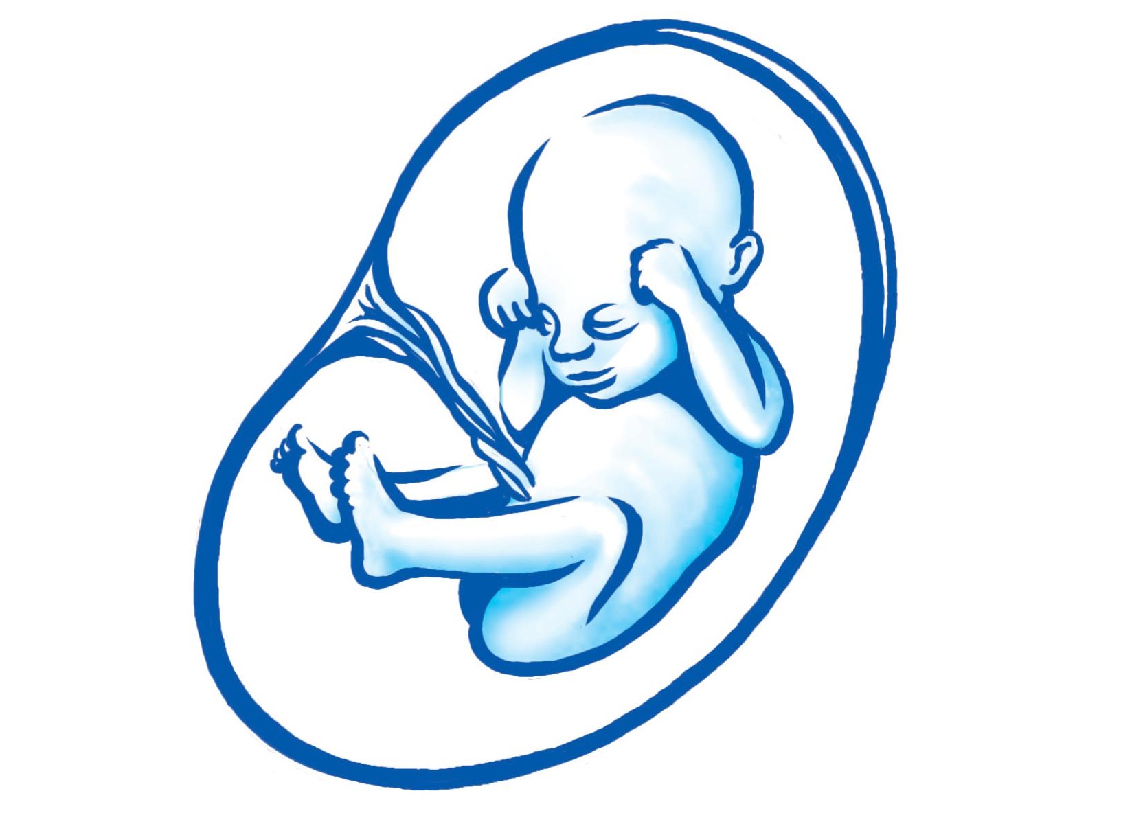 23. týždeň tehotenstva