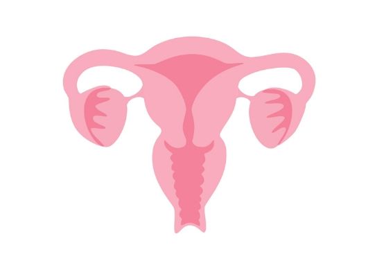 Viete, čo vyjadruje cervix skóre?