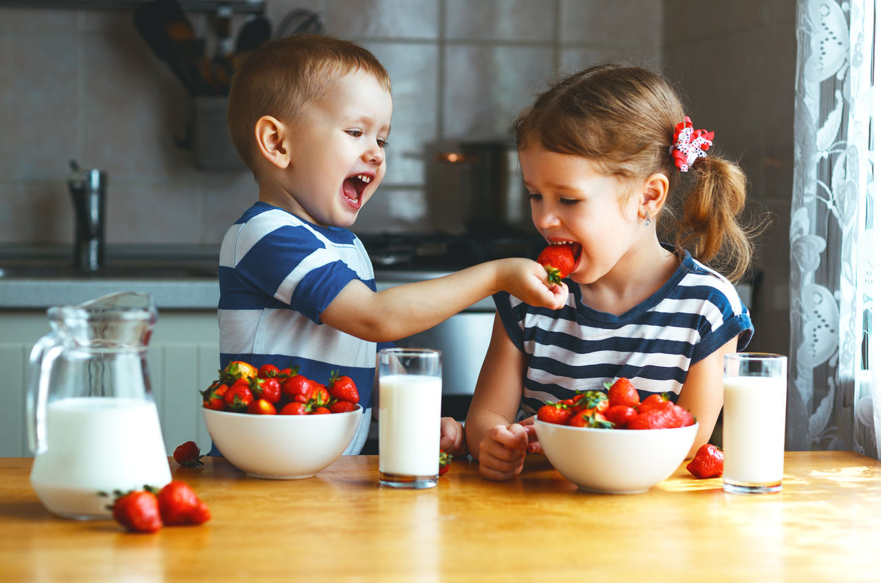 Happy children girl and boy brother and sister eating strawberries with milk